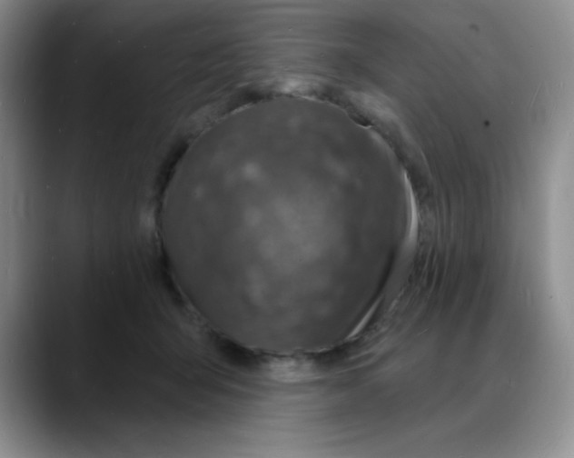 X0000088080415200706081733