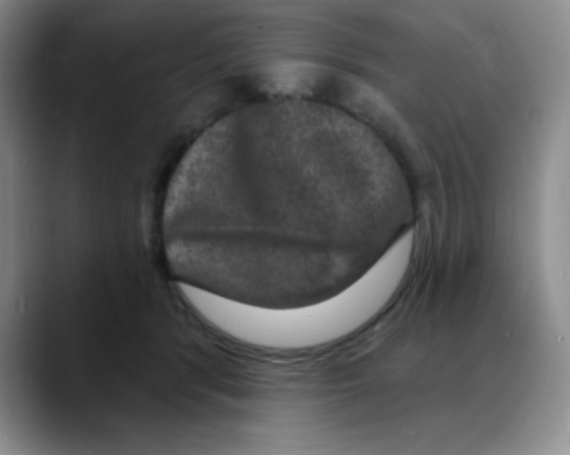 X0000088080416200706081733