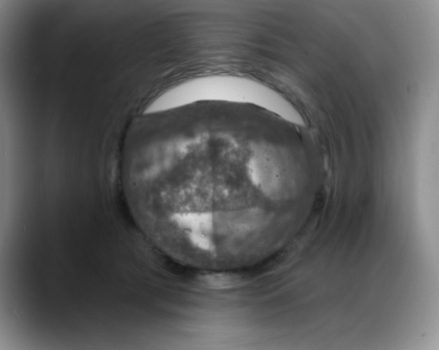 X0000088080417200706081733