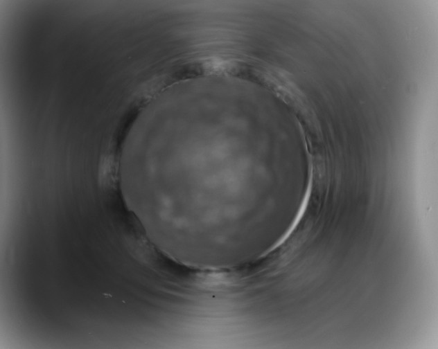 X0000088080419200706081733
