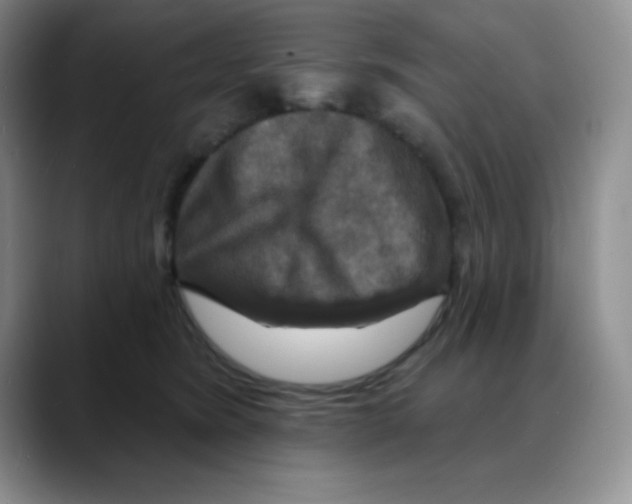 X0000088080420200706081733