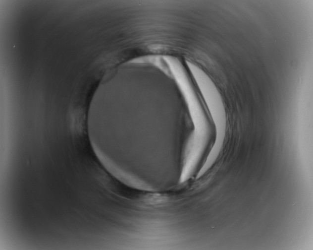 X0000088080421200706081733