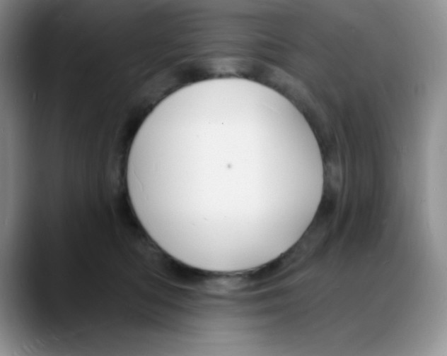 X0000088080422200706081733