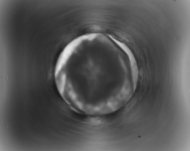 X0000088080423200706081733