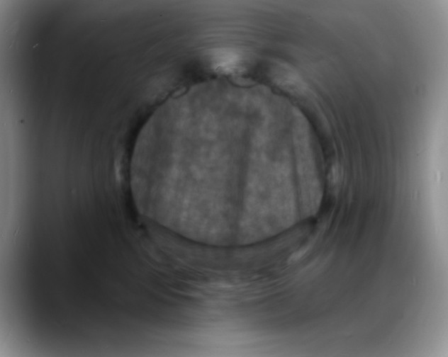 X0000088080424200706081733