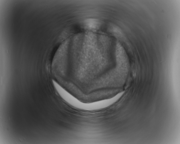 X0000088080425200706081733
