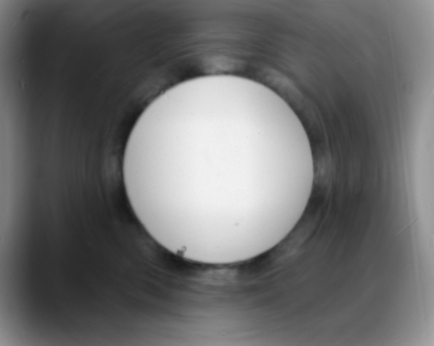 X0000088080426200706081733