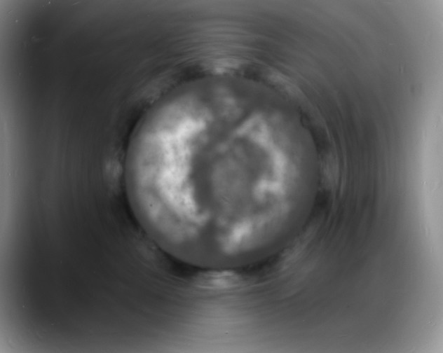 X0000088080427200706081733