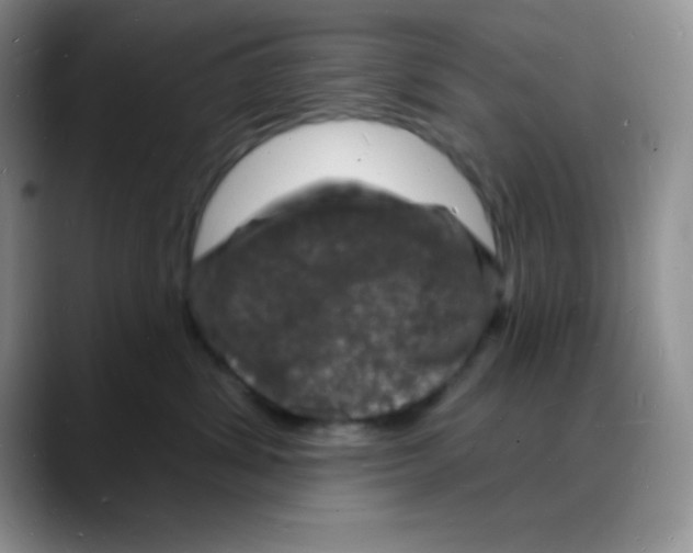 X0000088080428200706081733