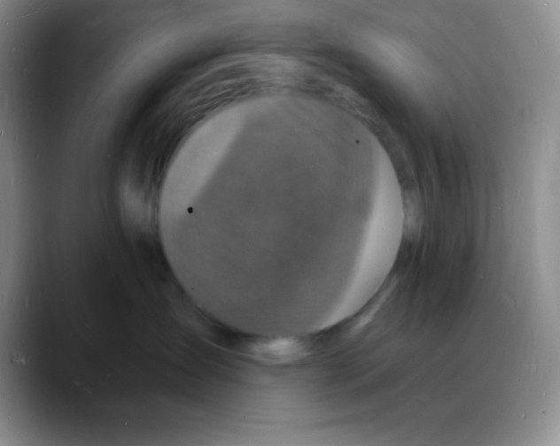 X0000088080431200706081733