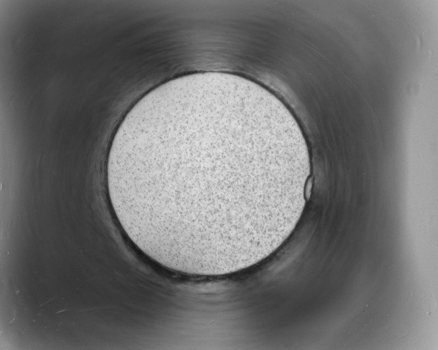 X0000088080433200706081733
