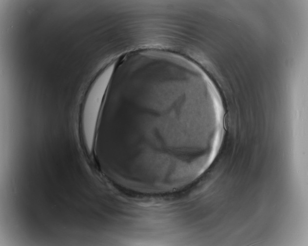 X0000088080434200706081733