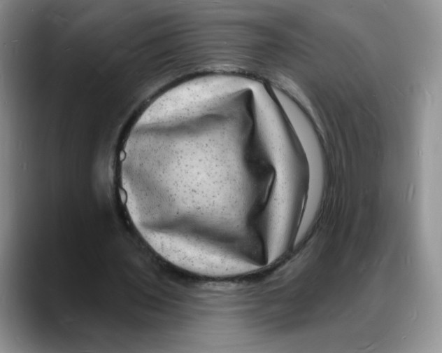 X0000088080435200706081733