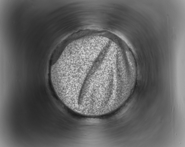 X0000088080437200706081733