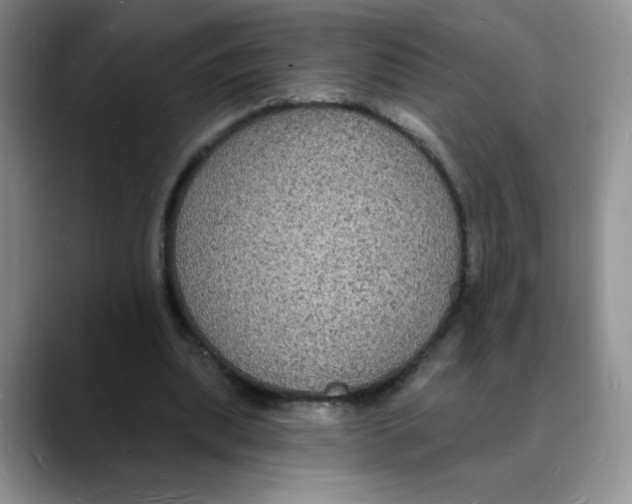 X0000088080439200706081733