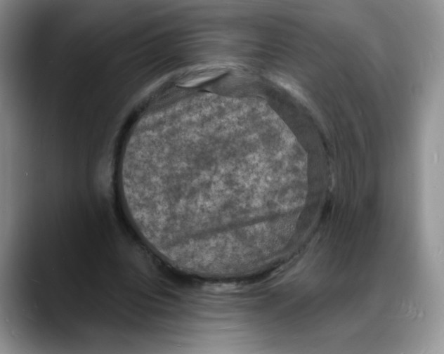 X0000088080440200706081733