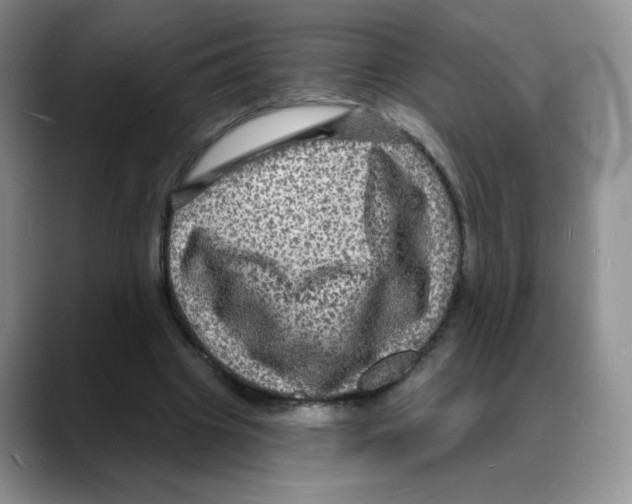 X0000088080441200706081733
