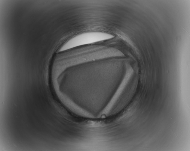 X0000088080442200706081733