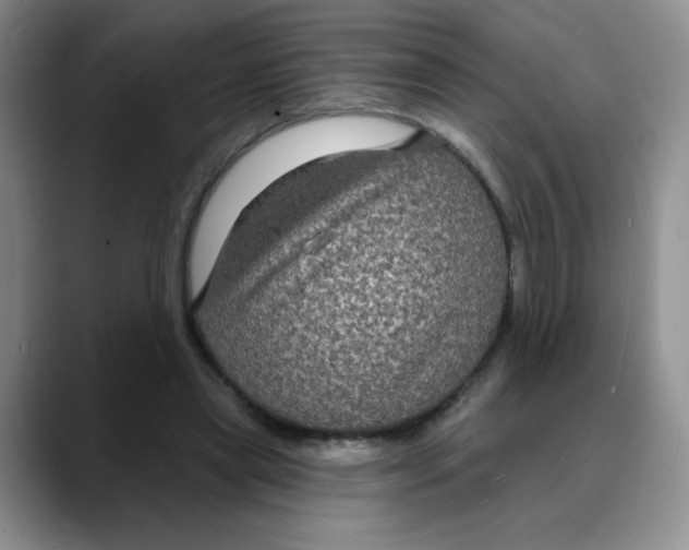 X0000088080445200706081733
