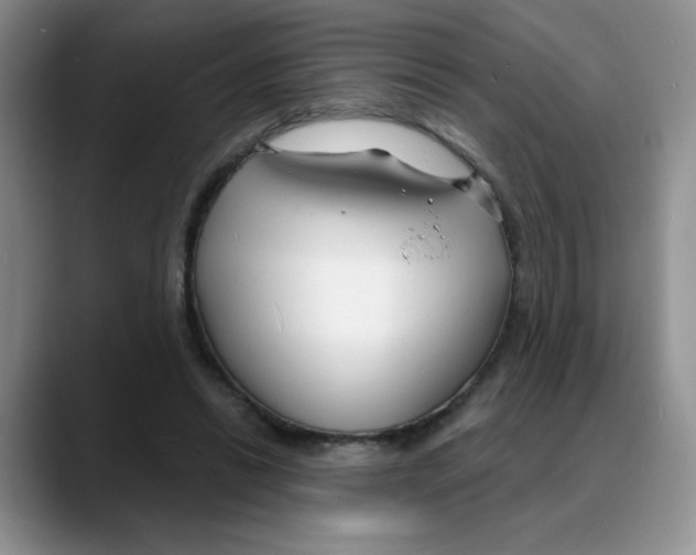 X0000088080446200706081733