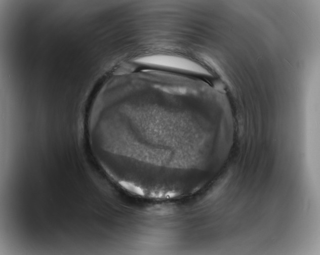 X0000088080447200706081733