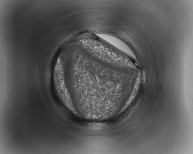 X0000088080448200706081733