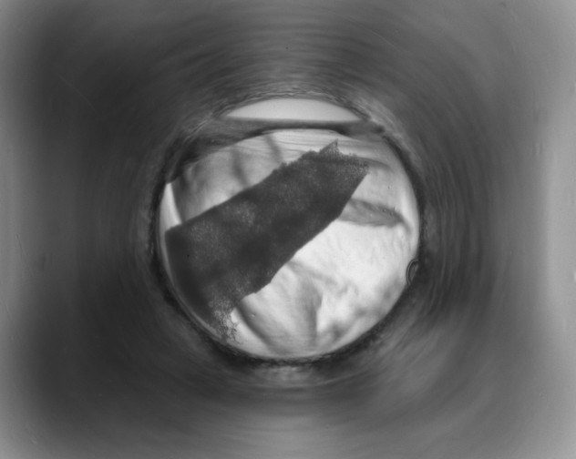 X0000088080449200706081733