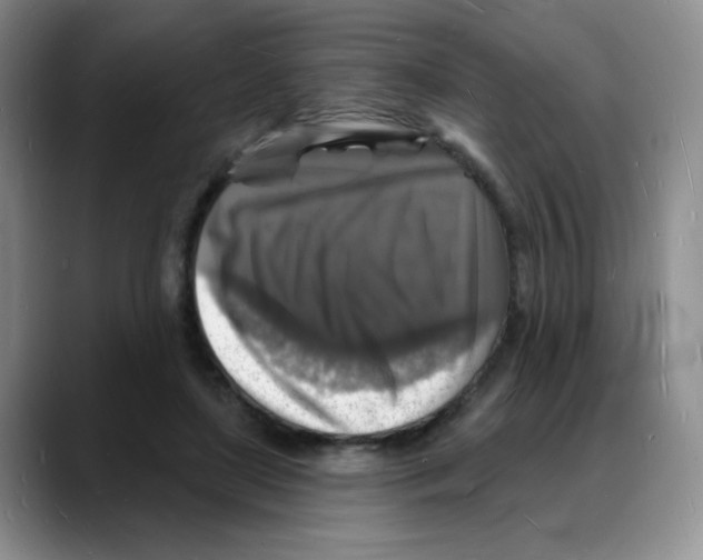 X0000088080451200706081733