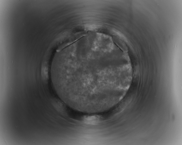 X0000088080452200706081733