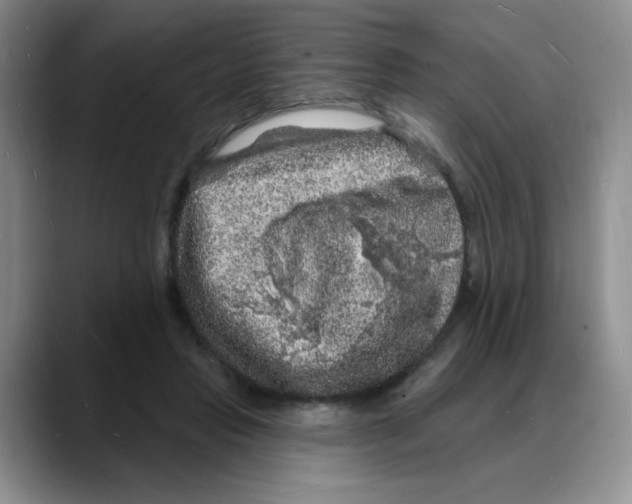 X0000088080453200706081733