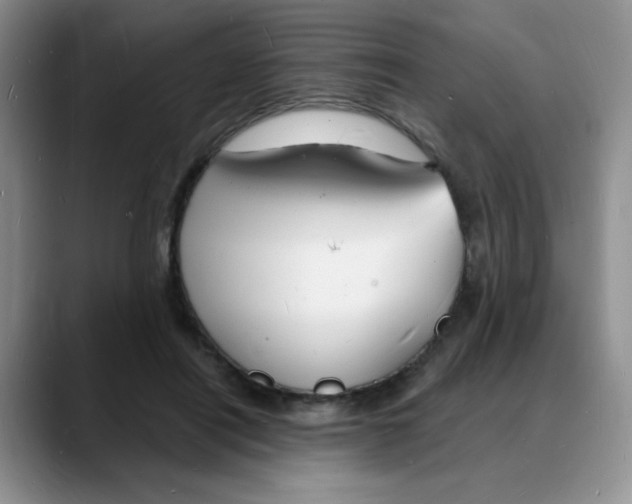 X0000088080454200706081733