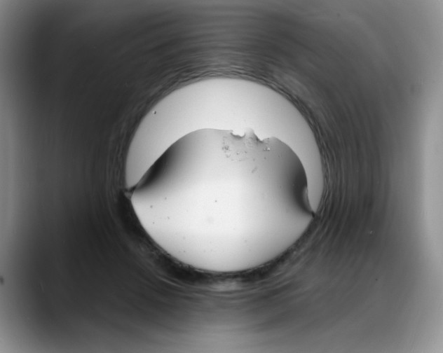 X0000088080456200706081733