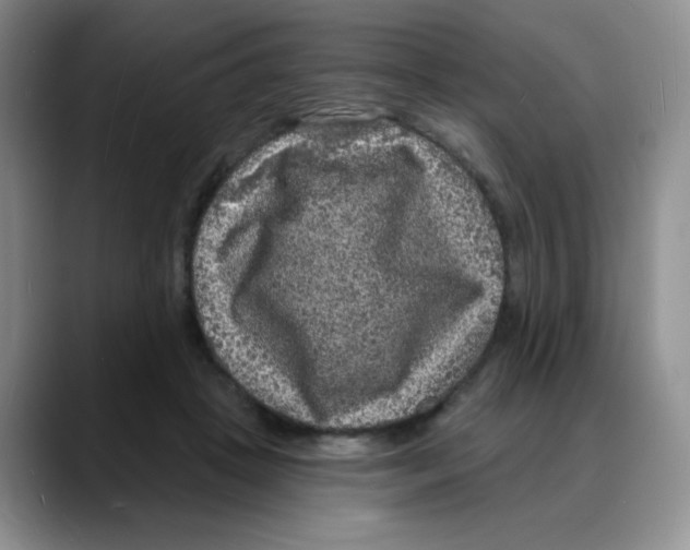 X0000088080457200706081733