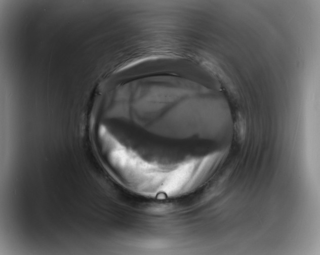 X0000088080458200706081733