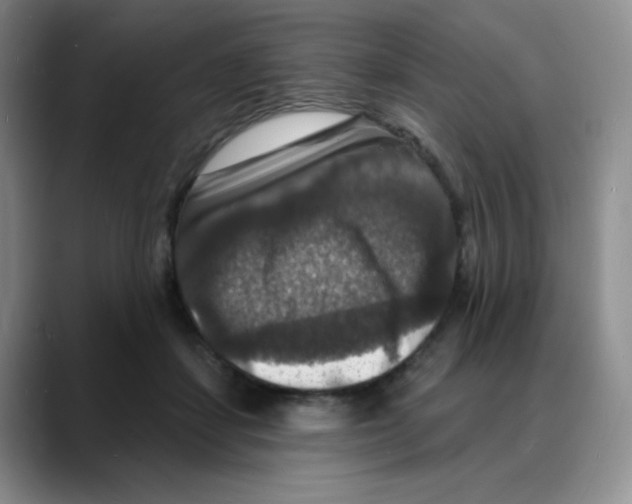 X0000088080459200706081733