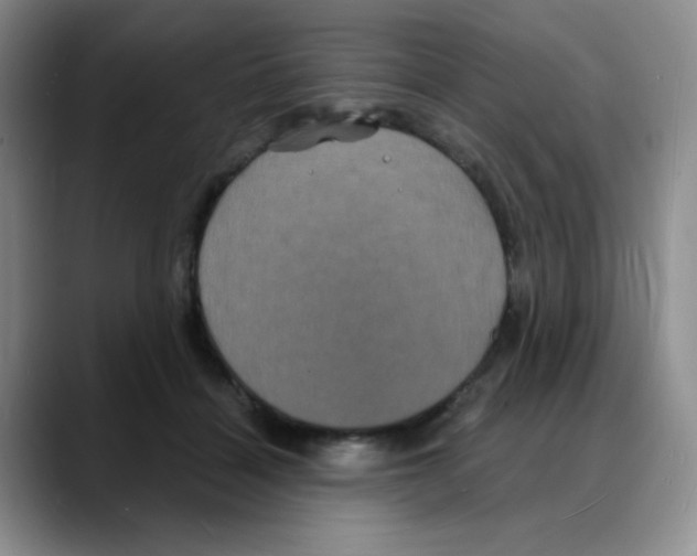 X0000088080460200706081733