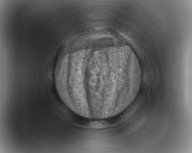 X0000088080461200706081733