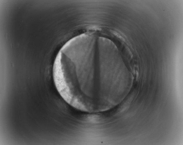 X0000088080462200706081733