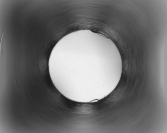 X0000088080463200706081733