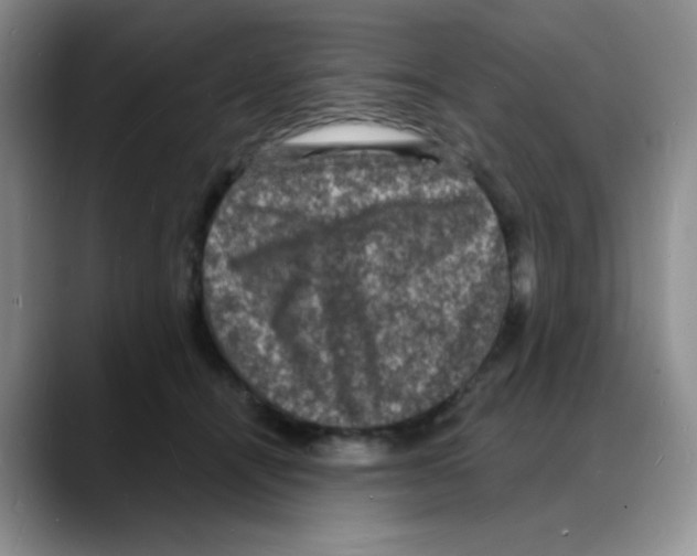 X0000088080464200706081733
