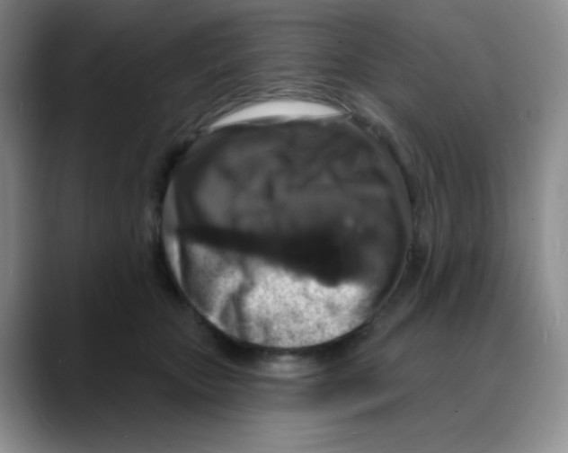 X0000088080467200706081733