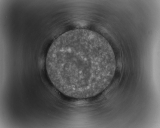 X0000088080468200706081733