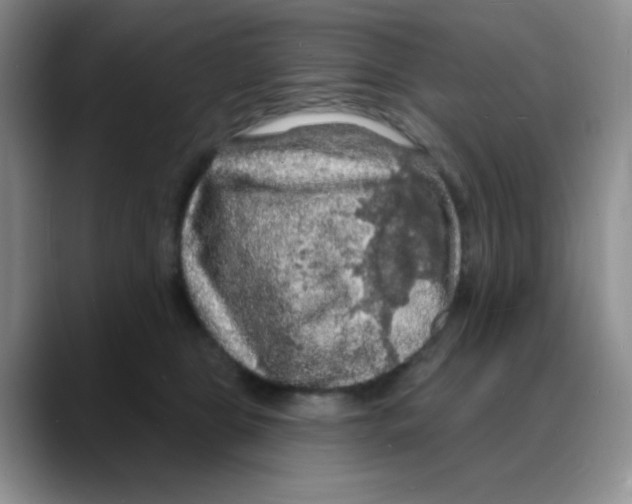 X0000088080469200706081733