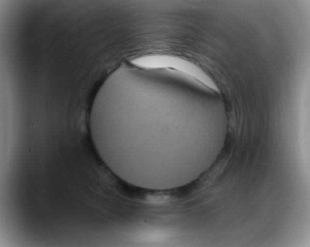 X0000088080470200706081733