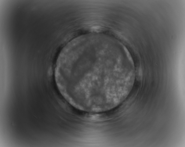 X0000088080472200706081733