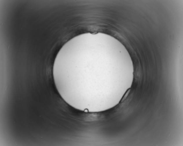X0000088080473200706081733