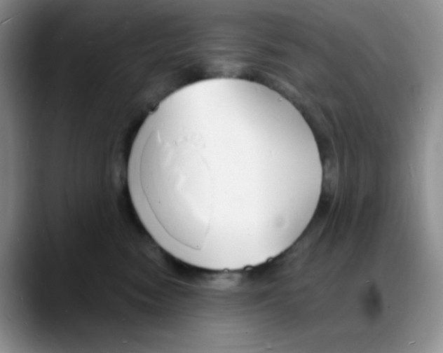 X0000088080474200706081733