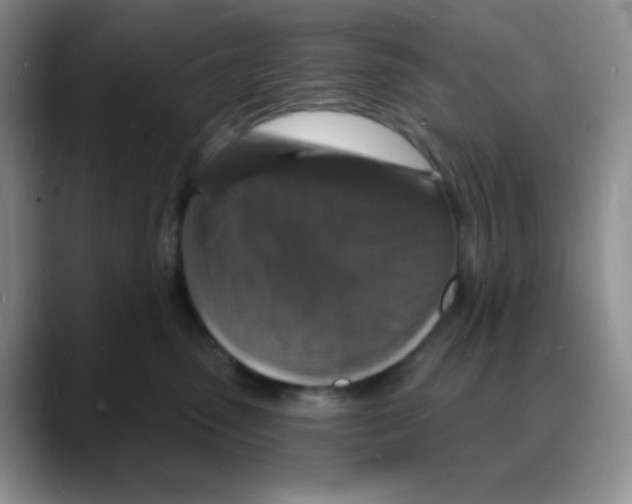 X0000088080475200706081733