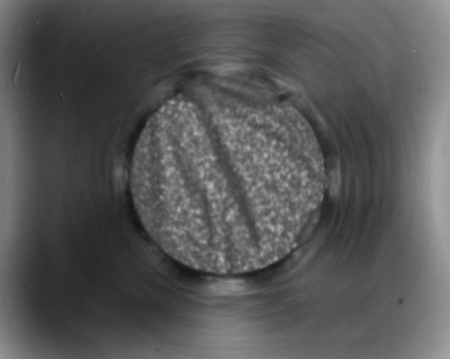 X0000088080476200706081733