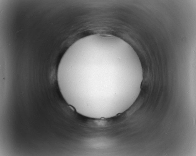 X0000088080478200706081733